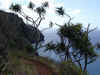 hnymn-kauai-hiking-napali-view-2-600.jpg (102276 bytes)