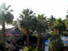 hnymn-kauai-poipu-room-view-2-600.jpg (93664 bytes)