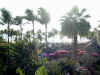 hnymn-kauai-poipu-room-view-600.jpg (104950 bytes)