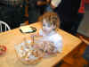 000406-riley-table-pudding-600.jpg (77849 bytes)