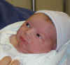 20031231-luke-04-600.JPG (69749 bytes)