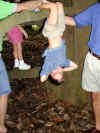 000913-spencer-tree-upsidedown-600.JPG (98490 bytes)