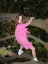 000913-tree-emerson-2-600.JPG (97243 bytes)
