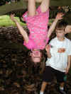 000913-tree-emerson-upsidedown-and-marshal-600.JPG (93689 bytes)