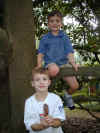 000913-tree-spencer-top-marshal-2-600.JPG (108278 bytes)