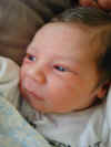 20020412-simon-11-600.jpg (46628 bytes)