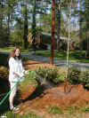 20020417-simon-tree-kristen-watering-1-600.jpg (138317 bytes)