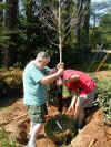 20020417-simon-tree-planting-dan-jack-17-600.jpg (135319 bytes)