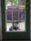 20020427-bailey-banished-deck-2-600.jpg (62446 bytes)