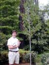20020428-simon-tree-simon-dan-1-600.jpg (140036 bytes)