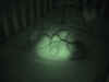 20021020-simon-sleeping-nightvision-1-600.jpg (43207 bytes)
