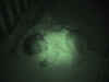 20021020-simon-sleeping-nightvision-4-600.jpg (39387 bytes)