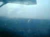 ka-arrival-forest-view-2-600.jpg (42551 bytes)