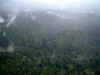 ka-arrival-forest-view-3-600.jpg (59757 bytes)