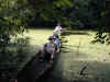 ka-rainforest-black-lagoon-canoe-dan-600.jpg (109718 bytes)