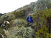 an-d2-high-grass-ridge-kristen-600.jpg (129237 bytes)