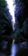 au-blu-canyon-hike-4-creek-ravine-pano-1200.jpg (207839 bytes)