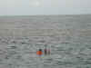 au-cai-great-barrier-reef-snorkeling-stacey-kristen-2-600.jpg (69354 bytes)