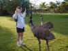 au-inn-croc-farm-emu-5-stacey-600.jpg (125398 bytes)