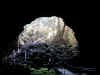 au-und-lava-tube-1-inside-entrance-2-600.jpg (66515 bytes)