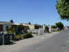 ct-langa-working-class-houses-600.jpg (70179 bytes)