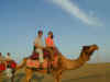 in-pow-jsm-sam-camel-dan-kristen-1-600.jpg (53288 bytes)