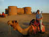 in-pow-jsm-sam-camel-sitting-dan-600.jpg (73289 bytes)