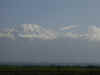 tz-kil-d1a-kili-view-from-road-1-600.jpg (38304 bytes)
