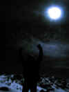 tz-kil-d5s-stella-pt-moon-dan-600.jpg (60733 bytes)
