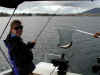 nz-tau-fishing-catch-kristen-3-600.jpg (77250 bytes)