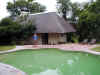 ng-safari-suite-pool-to-room-kristen-600.jpg (92254 bytes)