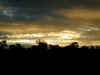ng-safari-sunset-1-600.jpg (44204 bytes)