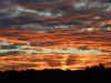 ng-safari-sunset-2-7-600.jpg (73148 bytes)