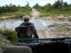 ng-safari-truck-view-river-600.jpg (86311 bytes)