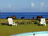 rn-hotel-pool-view-horses-600.jpg (78548 bytes)