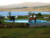 rn-hotel-pool-view-horses-drinking-600.jpg (91793 bytes)