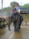 th-chiang-rai-elephant-ride-dan-kristen-2-600.jpg (85888 bytes)