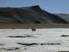 ti-road-to-rombuk-view-1-600.jpg (76673 bytes)