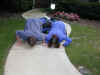 wt-returning-dan-kristen-3-kissing-ground-600.jpg (85802 bytes)