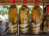 vt-hcm-cu-chi-snake-wine-600.jpg (90573 bytes)