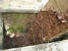 vt-hcm-cu-chi-trap1-bamboo-2-600.jpg (109096 bytes)