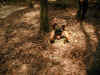 vt-hcm-cu-chi-tunnels3-opening-guide-2-600.jpg (139773 bytes)