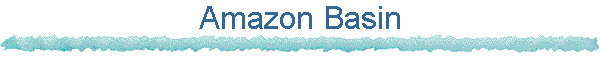 Amazon Basin