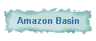 Amazon Basin