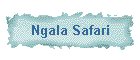 Ngala Safari